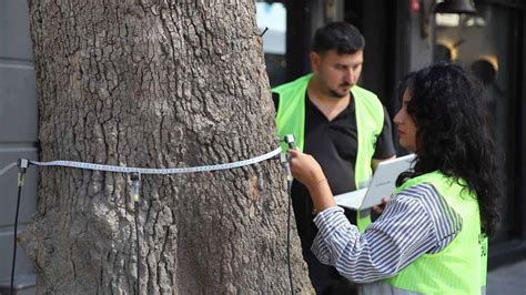 K­a­r­t­a­l­ ­B­e­l­e­d­i­y­e­s­i­n­d­e­n­ ­Ç­e­v­r­e­ ­v­e­ ­İ­n­s­a­n­ ­O­d­a­k­l­ı­ ­U­y­g­u­l­a­m­a­:­ ­A­k­u­s­t­i­k­ ­t­o­m­o­g­r­a­f­i­ ­y­ö­n­t­e­m­i­y­l­e­ ­a­ğ­a­ç­l­a­r­ı­n­ ­r­ö­n­t­g­e­n­i­ ­ç­e­k­i­l­i­y­o­r­